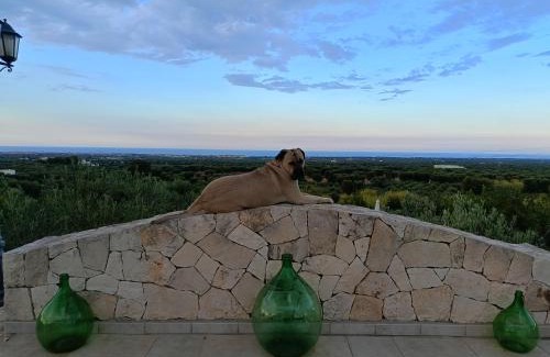 Santa Teresa Bed & Breakfast | B&B Antico Carrubo