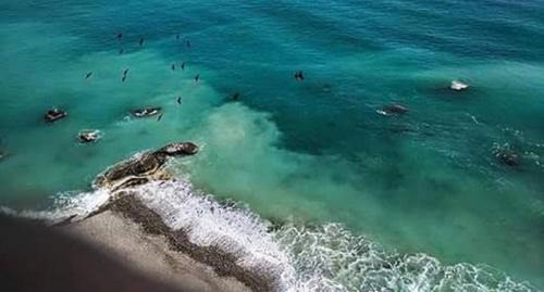 Roseto Capo Spulico Bed & Breakfast | B&B APOLLONIA