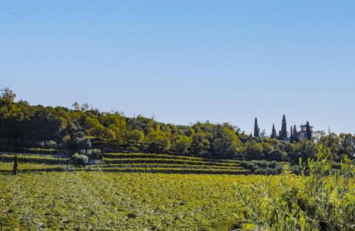 Gargagnago di Valpolicella Bed & Breakfast | B&B Ca' Bernai