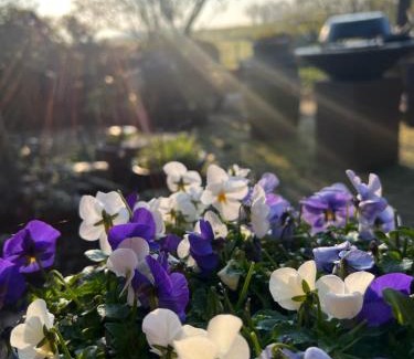 Graft Bed & Breakfast | B&B De Pauw - Country Home Cooking