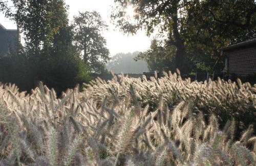 Rijkevorsel Bed & Breakfast | B&B de Rijcke Rust