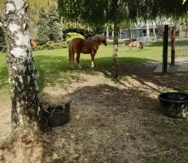 Steenbergen House | B&B de Vrijheid en de Ruimte in Steenbergen