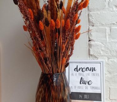 Sint-Gillis Bed & Breakfast | B&B Emma