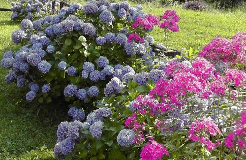 Piancogno Bed & Breakfast | B&B I Viandanti