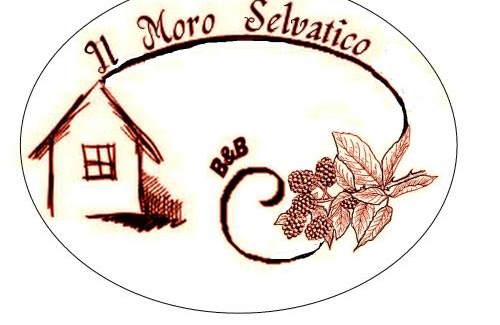 Poviglio Bed & Breakfast | B&B Il moro selvatico