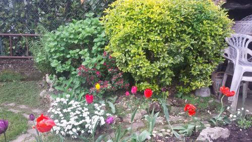 Bergamo Bed & Breakfast | B&B il Patio