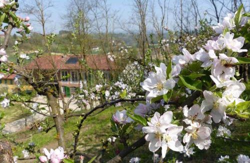 Castelnuovo don Bosco Bed & Breakfast | B&B Il vecchio pero