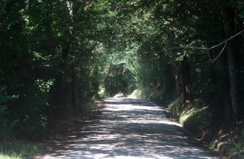 Montegiorgio House | B&B La Cappellania