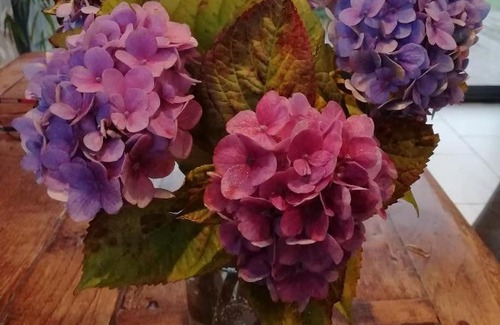 Melgven Bed & Breakfast | B&B La Grange du Minuellou