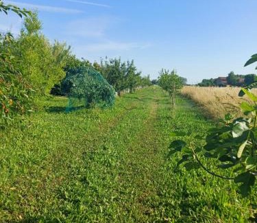 Fontanellato Bed & Breakfast | B&B Lattemiele