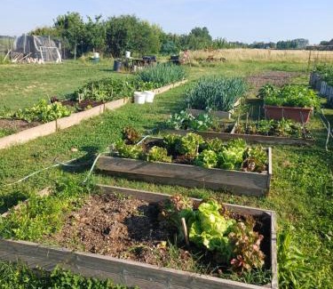 Fontanellato Bed & Breakfast | B&B Lattemiele