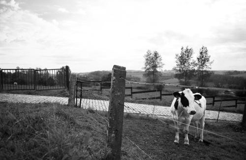 Kerkhove Bed & Breakfast | B&B Maison Kerkhove