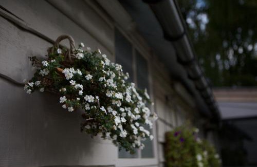 Kerkhove Bed & Breakfast | B&B Maison Kerkhove