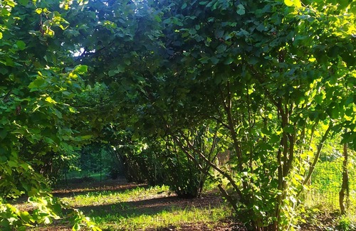 Lauriano Bed & Breakfast | B&B Naturin - Nature, Wine, Pool and Relax