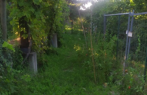 Lauriano Bed & Breakfast | B&B Naturin - Nature, Wine, Pool and Relax