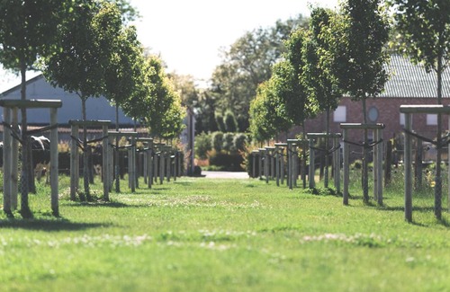 Zevekote Bed & Breakfast | B&B Nieuwhof