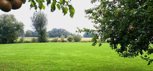 Holwierde Bed & Breakfast | B&B Oldenbosch