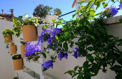 Civitanova Alta Bed & Breakfast | B&B Porta Girone