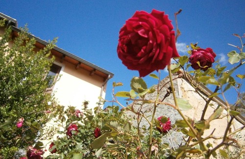 Santadi Bed & Breakfast | B&B S'ARROSA ANTIGA