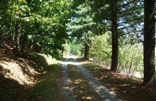 Bene Vagienna Bed & Breakfast | B&B Selisa