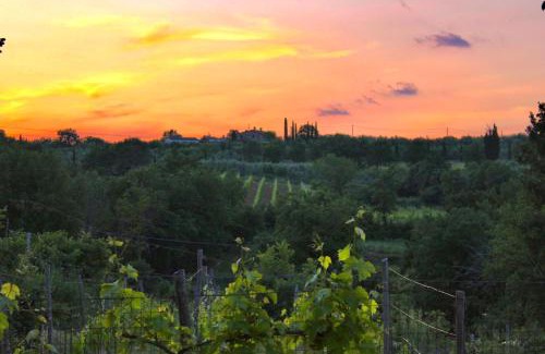 Ciggiano Apartment | B&B Terre Toscane