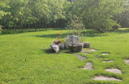 Motta di Livenza Bed & Breakfast | B&B Villa Elisa