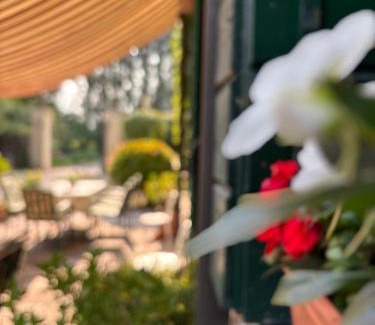 Lancenigo Bed & Breakfast | B&B Villa Gradenigo