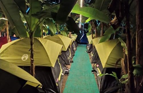 Palghar Hotel | Baadal Pani Beach Resort Near Kelwa Beach