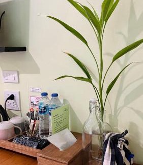 Ko Kood Resort | Baan Bua Cottage SHA EXTRA PLUS B5510