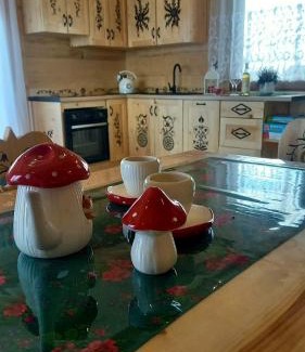 Czerwienne Ski Chalet | Bachledowy Wierch 1