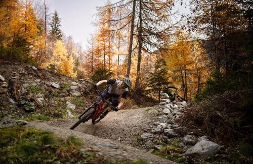 Blatten bei Naters Apartment | Bachtola BT1