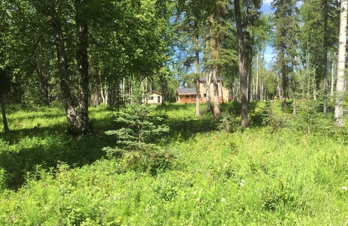 Ridgeway Cabin | Back Woods Cabin. End Of The Road, Quiet.
