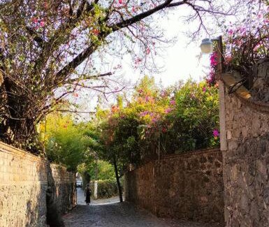 Santo Domingo Apartment | Bajo el Ciruelo