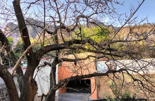 Santo Domingo Apartment | Bajo el Ciruelo