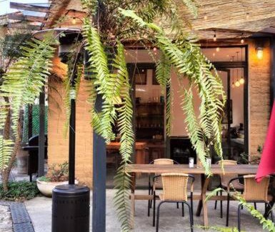 Santo Domingo Apartment | Bajo el Ciruelo