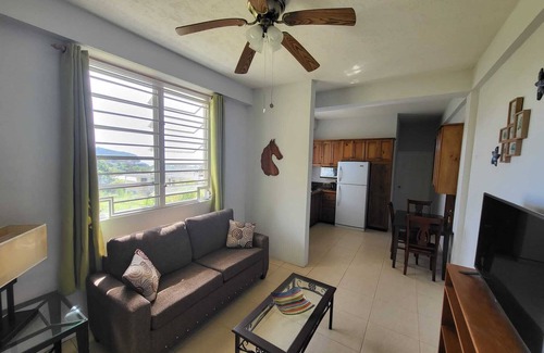 Picard Apartment | Balisier Apt 3- One Bedroom Apartment with Gorgeous Views!