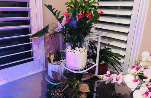 Temecula House | Balloons and Wine