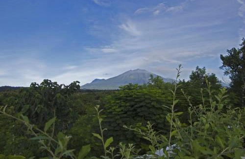 Kalipuro Hotel | Bangsring Breeze