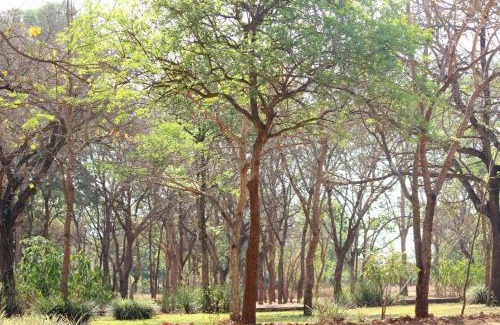 Chitedze Cabin | Barefoot Lodge and Safaris - Malawi