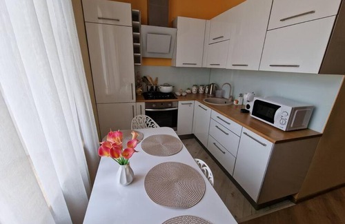 Grizinkalns Apartment | Baroness apartments