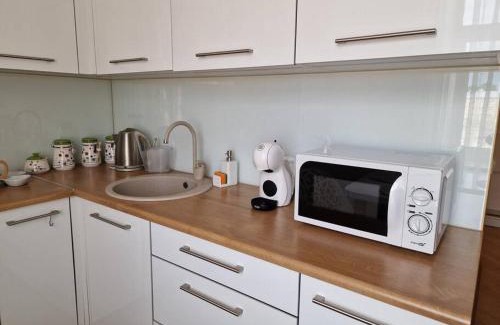 Grizinkalns Apartment | Baroness apartments