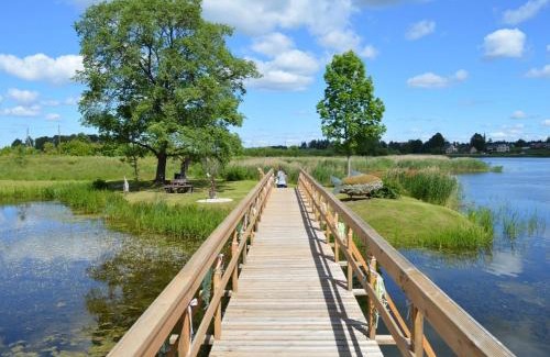 Daugavpils Municipality Apartment | Basic Apartment