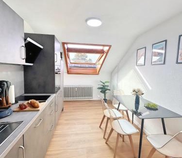 Grenzach-Wyhlen Apartment | Basilisk Homes - in Grenzach-Wyhlen bei Basel - 4 x Moderne Fewos je 1bis2, 1bis4 oder 1bis6 Pers mit Küche und Balkon oder Terrasse - Parkplätze vorhanden