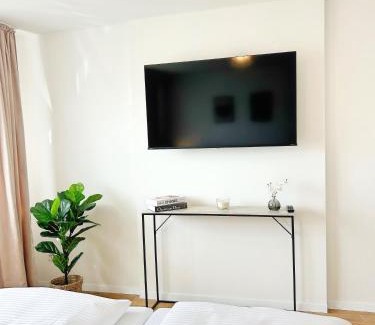 Grenzach-Wyhlen Apartment | Basilisk Homes - in Grenzach-Wyhlen bei Basel - 4 x Moderne Fewos je 1bis2, 1bis4 oder 1bis6 Pers mit Küche und Balkon oder Terrasse - Parkplätze vorhanden