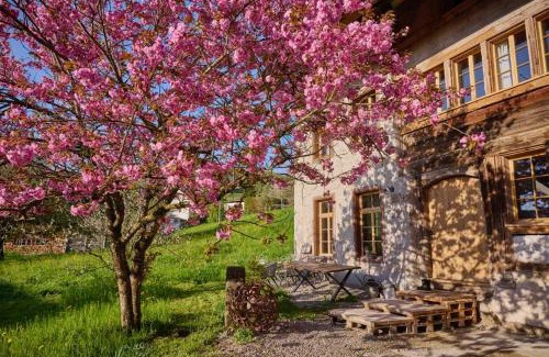 Pfaffikon District Apartment | Baudenkmal Mühle Schalchen