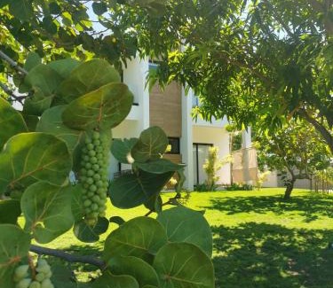 Palmar de Ocoa Villa | Bayshore 76 Beachfront Villa Palmar de ocoa