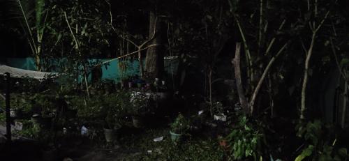 Mararikulam House | BEACH HARMONY