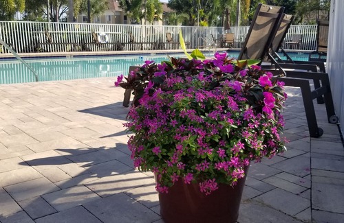 Estero House | BEACH & SUNSETS CONDO!