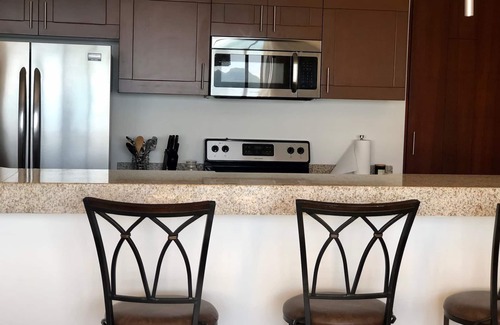 Marina Mazatlan Condo | BEACHFRONT 2 BEDROOM CONDO IN LAS GAVIAS RESORT - Sleeps 6