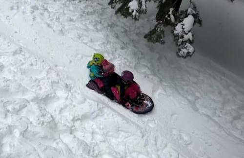 Country Club Estates House | Bear Haus - Sledding At Cabin - Forest Views - Foosball